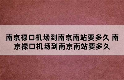 南京禄口机场到南京南站要多久 南京禄口机场到南京南站要多久